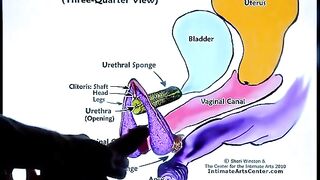 The best way to make girls squirt with pussy licking