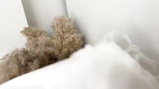 Guy sniffed panties and fucked curva in a wet pussy, delivering real orgasms