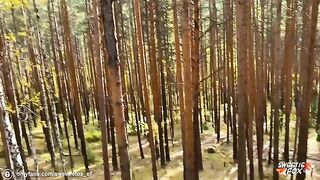 Babe fucked hard in the woods by a young guy