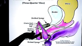 How to Squirt? The ultimate tutorial by Mr. PussyLicking, explaining it all in under 60 seconds!