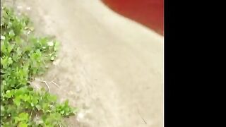 I picked up a slut in the park and fucked her