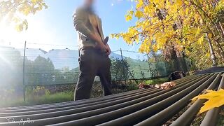 Stranger flashes his dick and gets fucked by a MILF in the park in this exclusive HD video