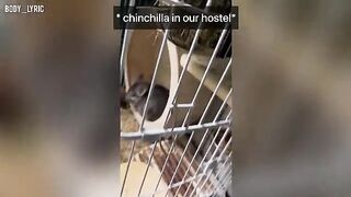 A couple has sex in a hostel capsule and travels to a big city