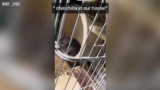A couple has sex in a hostel capsule and travels to a big city
