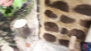 Couple caught getting intimate in the jungle, a totally wild scene!