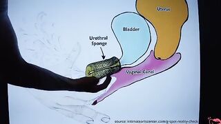 How to Squirt Like a Pro? Follow this simple tutorial and you'll never fail to please!