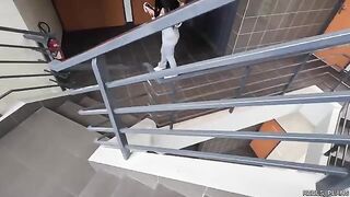 Perfect ass Latina chick fucked in elevator and toilet