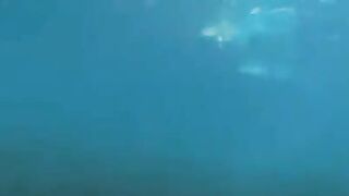 Fucking divers at the bottom of the sea in eporn style