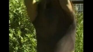 A man caresses his big dick in the hayloft