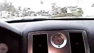 Nikki made a blowjob right in the car, it was quite a daring act