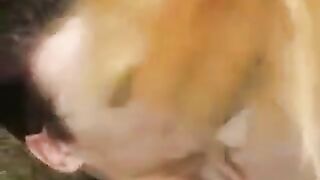 A young slut was fucked in the park outdoors