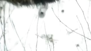 Girl sucks dick on the street in winter, caught in act