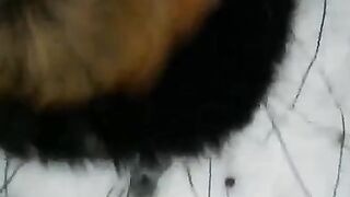 Girl sucks dick on the street in winter, caught in act