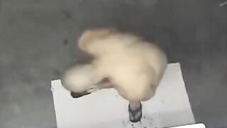 Nude man in the shower, hidden camera captures everything