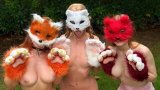 What is Quadrobers? Is it a place for discovering new sensations?
