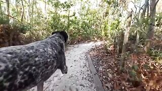 A couple has fun in the Florida jungle, Sparks Go Wild style