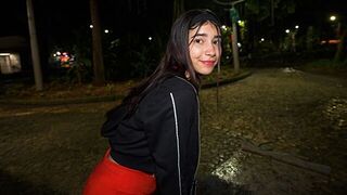 I picked up a girl in the park and fucked her hard there