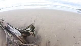 The beach is always wet - from the water and because of the girl